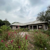 Bán 1726m2 đất tặng Biệt Thự tại Minh Phú, Sóc Sơn, Hà Nội